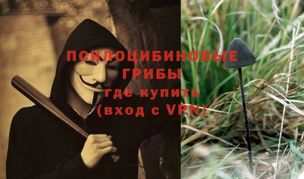 стафф Володарск